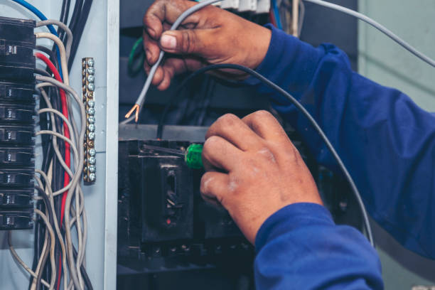 Best Home Electrical Repair  in Skyline, AL